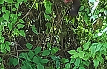 Agriturismo Malvista - Foto 64