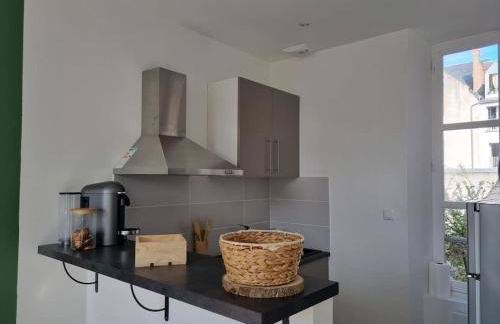 Appartement centre d'Orléans en bord de Loire - Foto 10