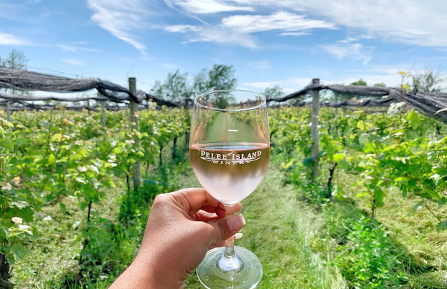 Cliffside Suite #3 - Seacliff Beach Suites - Foto 21