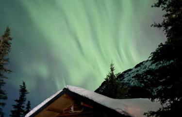 Little Bear Getaway Cabins - Foto 16