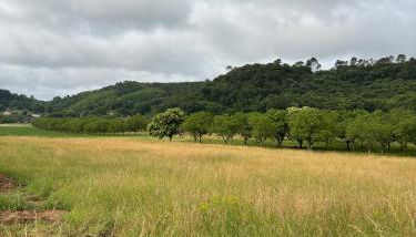 L ancien fournil - Sejour authentique & douillet - Proche de Sarlat - Foto 3