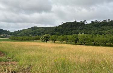 L ancien fournil - Sejour authentique & douillet - Proche de Sarlat - Foto 3
