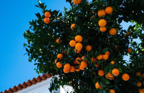 Casa do Poço - Serra da Estrela - Foto 41