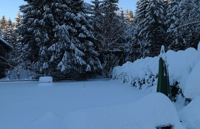 Ferienwohnungen Haus Zeier - Foto 21