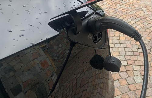 Il gatto e la volpe 1 - Foto 33