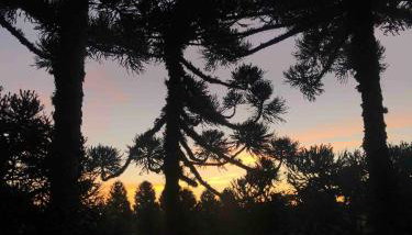 Lof Araucárias próx Rua Coberta by Achei Gramado - Foto 3