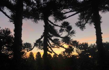 Lof Araucárias próx Rua Coberta by Achei Gramado - Foto 3