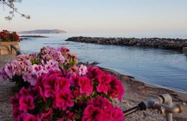 Petra Marina Home - Foto 53