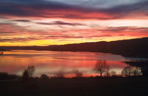 La Gentiane bleue, vue lac Saint Point - Foto 40