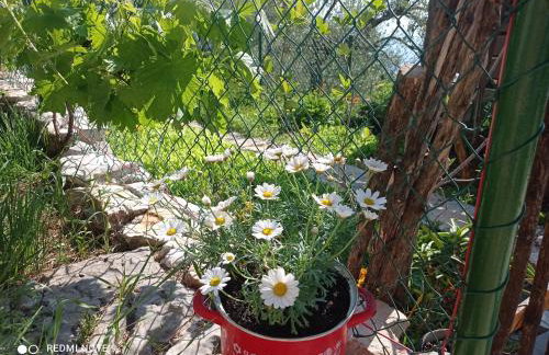 Casa Delle Olive - Foto 22