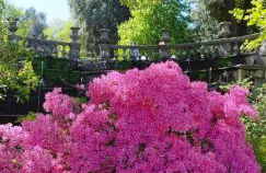 La Casa del Sole - Foto 13