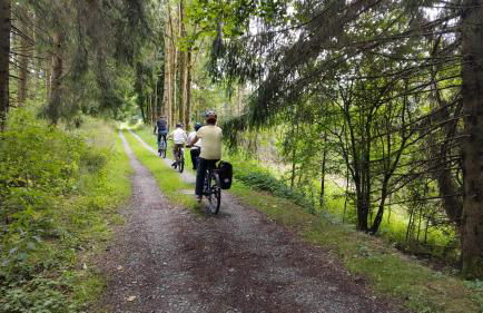Große Ferienwohnung in Winterberg Hildfeld - Photo 36