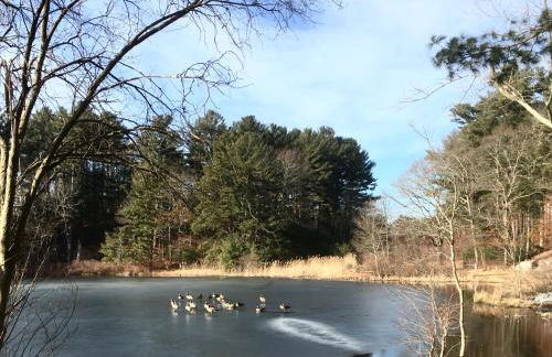 Clear Pond Suite - Photo 65