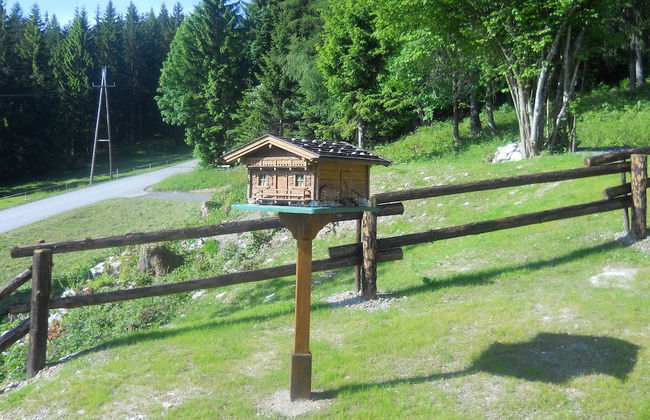 Cozy Chalet in Niederndorf bei Kufstein near Ski Area - Foto 13