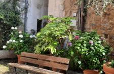 Casa Sant'Andrea - Photo 12