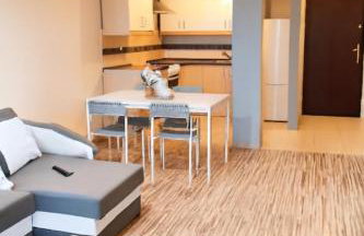 Apartament z Garażem blisko Lotniska - Foto 7