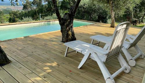 Rivolta home - Photo 3, Garden, sunbed, Garden view