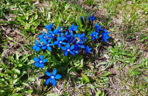 La Baita - Bionaz - Photo 64