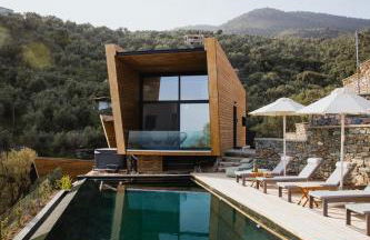 Five Olive Dream Trip - Photo 9