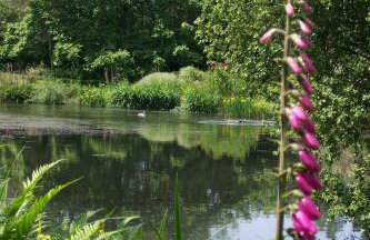 Polgwedhen Lodge - Photo 19