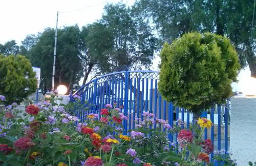 Karfas Bay View - Photo 22