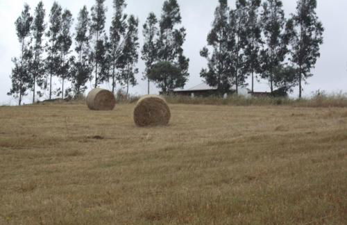 Courela do Salgueiro - Foto 26