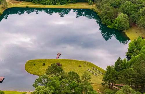 30-Acre Oasis with Private Pond Near Big Creek Lake - Foto 36