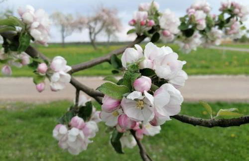 Old parish barn - Photo 26