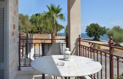 Filyra Xenonas - Foto 30