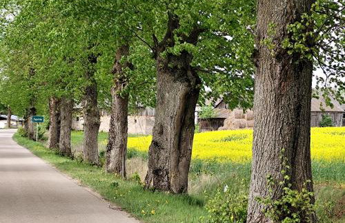 Stara Karczma Sypitki - Foto 7