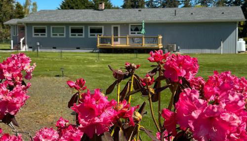 Sq Seashells Nest - Photo 2