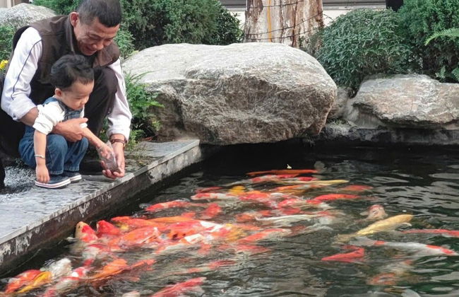 Lotus Hotel Lynntimes Thanh Thuy - Foto 29