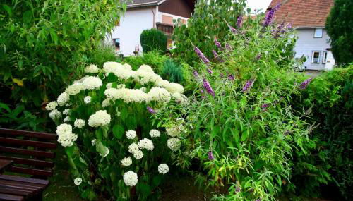 Ferienwohnung Koch - Foto 3