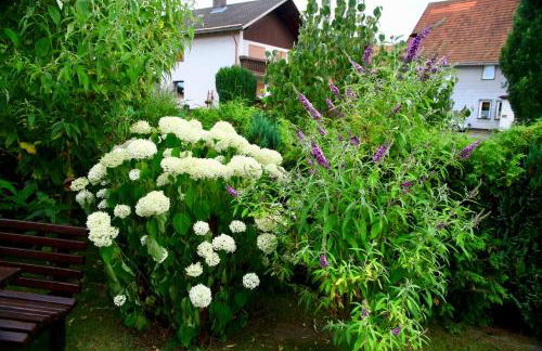 Ferienwohnung Koch - Foto 3
