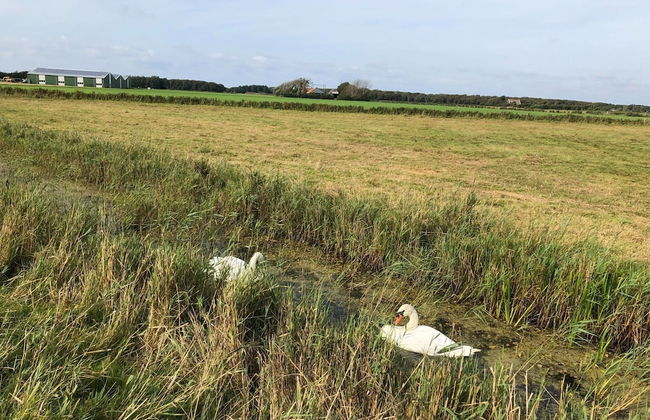 Chic Beachside Stay w/ Sauna - Foto 19