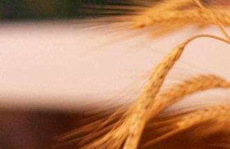 Finca el Vizconde - Naturaleza con tus hijos - Foto 50