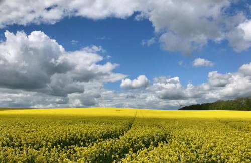 Ferienwohnung Gut Börtewitz - Foto 6