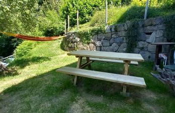 il larice d' oro - Foto 8