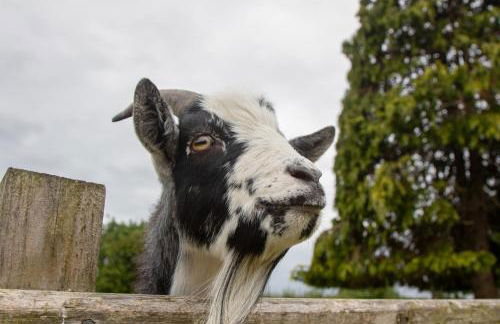 The Haybarn - Foto 11