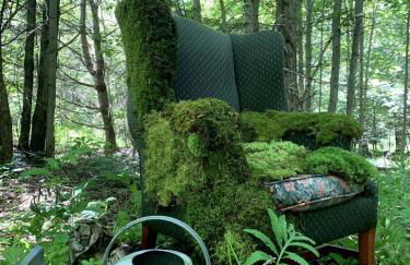 The Disco Den on Toad Road - Photo 20