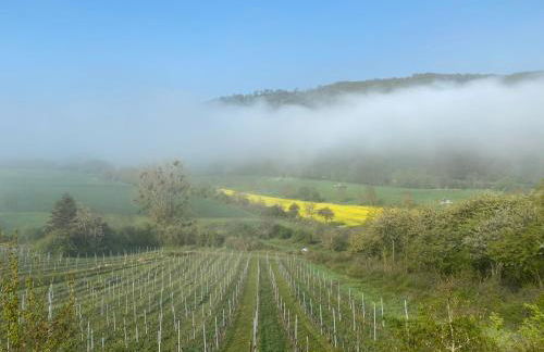 Overkamps - das Ferienhaus Odernheim - Foto 20