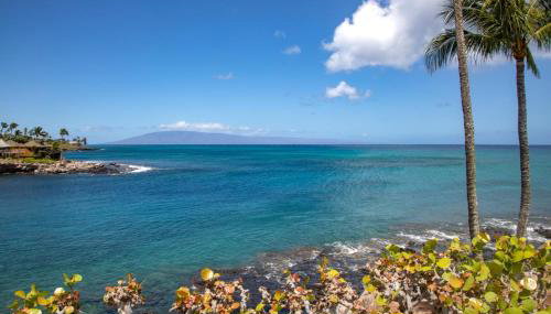 NEW KBM Resorts FREE CAR Napili Point Oceanfront 1-Bedroom Condo with Luxury Amenities NAP-B13 - Foto 2, Other