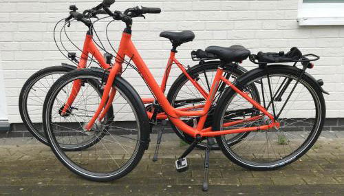 Moderne Maisonette-Wohnung am Karpfenteich; modern Apartment with view of the carp pond - Foto 4