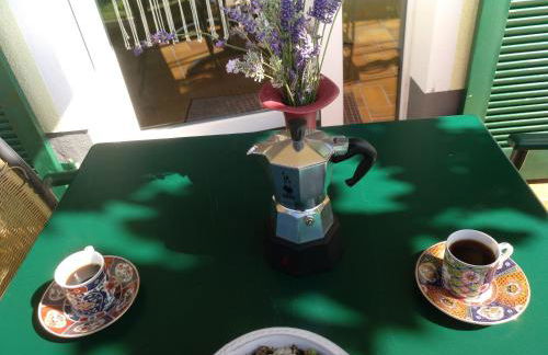 Kakteengarten - Foto 16