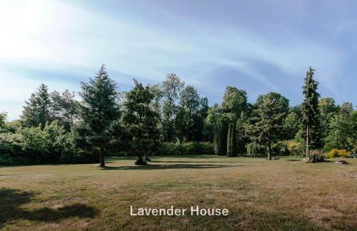Lavender House - Foto 35