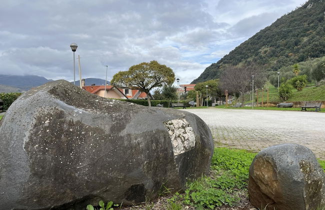 Preta Nera Intera in Giuliano di Roma - Foto 75