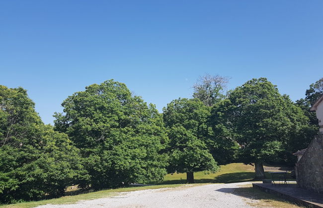 Agriturismo Bio I Rondinelli - Foto 52