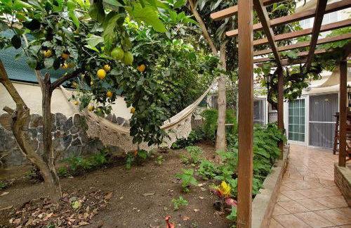 Carmelo y Carmela 1 - Foto 21