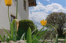 Ferienwohnung Schmied - Foto 2