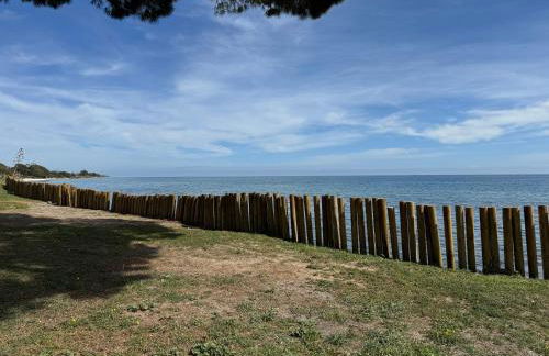 Appartement n 302 moriani plage - Foto 31